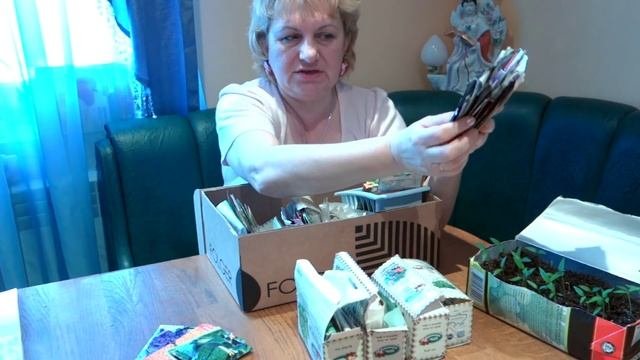 Как организовать хранение семян. Органайзеры