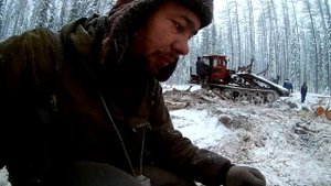 Тдт 55    заготовка леса на пилораму .