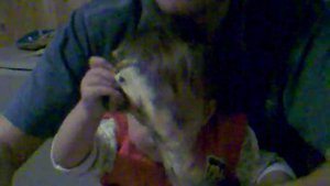 Малыш кушает вкусный суп