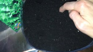 Посев салата Одесского кучерявого. Выращиваем зелень на балконе )))