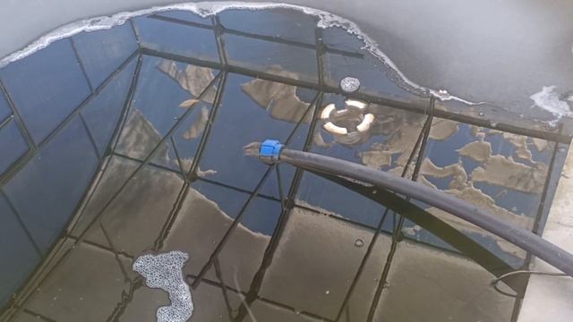 пруд оттаял, карп кои плавает, но одному крупному мальку плохо((( аэрация пруда, растения для пруда