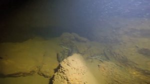 Поргужение в Воронежском водохранилище (Чернавский мост)(Звук увы Ютьюб обрезал)