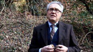 Ganoderma Lucidum - Reishi - Intervento del Micologo Dott.Ivo Bianchi