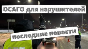 ОСАГО для нарушителей: последние новости [февраль 2022]