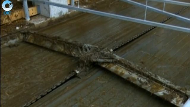 В Искитимском районе открыли новую ферму смотреть онлайн