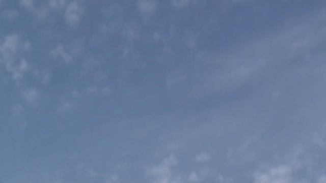 МОИ ГОЛУБИ!!! КРЫЛАТАЯ ЛЮБОВЬ ЛУГАНЩИНЫ г ПРИВОЛЬЕ. 16.10.21г смотреть онлайн