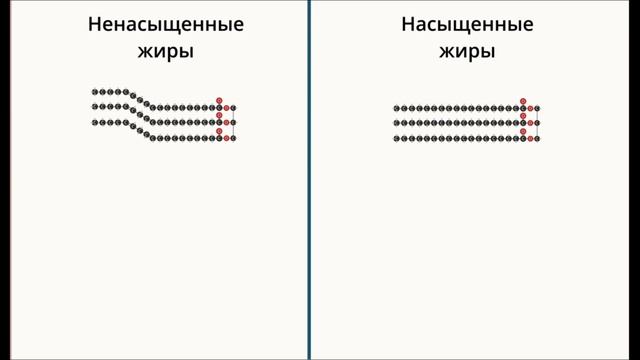 Урок биологии №6. Структурные компоненты липидов смотреть онлайн