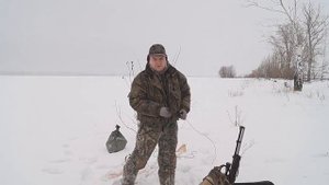 Охота на приваде на лису.(делаем приваду)