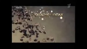 Реклама Nescafe Gold 2010