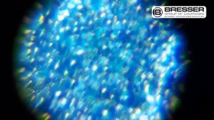 Микроскоп Bresser National Geographic 40-640x с адаптером для смартфона, что можно увидеть