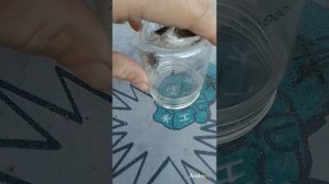 ПАУКИ В БАНКЕ паук ж*ёт паучиху?