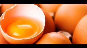 Я ем ЯИЧНЫЙ ЖЕЛТОК каждый день, посмотри, что СЛУЧИЛОСЬ с моим ТЕЛОМ
