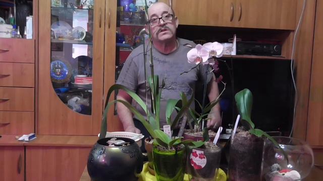 Питание растений часть-2 смотреть онлайн