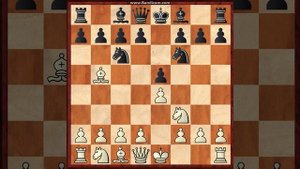 Шахматная теория - Основные принципы дебюта