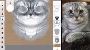 Рисую недовольного кота в Autodesk Sketchbook Pro