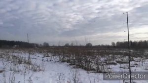 Ловля певчих птиц "по-весеннему". Долгожданные щеглы! 21.02.2020. Свежий щегол манит из сумки!! ??