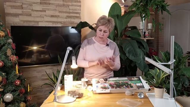 СЕКРЕТЫ ПОДСВЕТКИ РАССАДЫ Как правильно выбрать лампу?