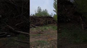 СНТ "Лесные Дачи", участок 19 соток