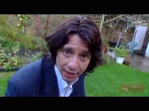 BBC Правила дизайна #2 — Цвет