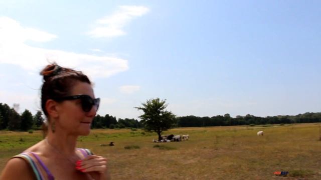 САФАРИ У НОВОГЕОРГИЕВСКА. ДИКИЕ КОЗЫ, ОВЦЫ И МИНОТАВРИК. смотреть онлайн