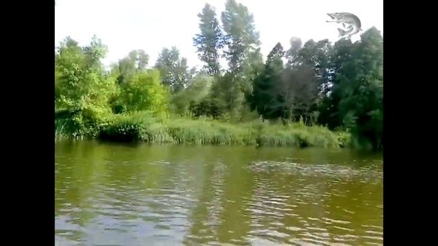 Река Тетерев «Жемчужина Полесья»