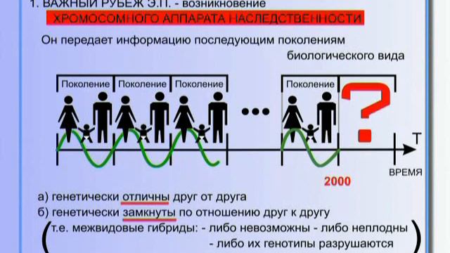 КОБ -  Глобальный Эволюционный Процесс