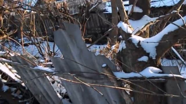 GRANDENIKO ЗАКАЗАЛ ДЛЯ САМВЕЛА ЛЮБОВНУЮ ПЕСНЮ.ЮБИЛЕЙ ИРЫ И ГЕНЫ смотреть онлайн