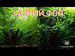 Как сделать задний фон в аквариуме своими руками