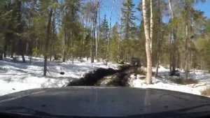 Полом 2