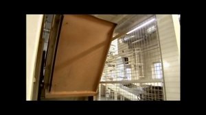 О вреде курения. Заговор бизнесменов. Секреты манипуляции.