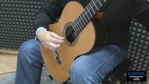 М. Каркасси Этюд №12. Юрий Алешников