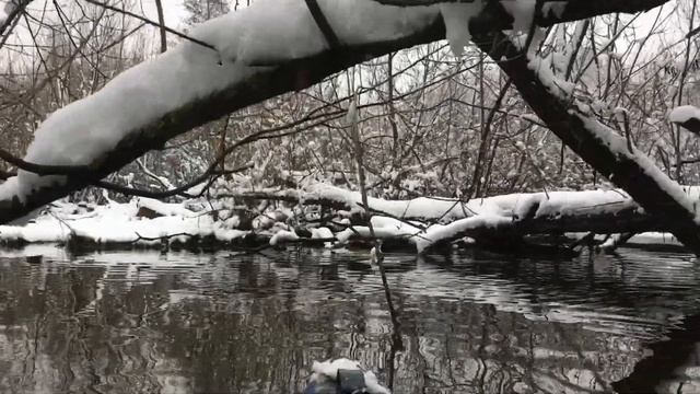#9 Зимний сплав по реке. Продолжение завалов смотреть онлайн