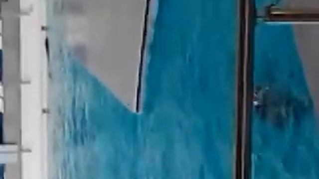 Детеныш дельфина в Набережночелнинском дельфинарии смотреть онлайн