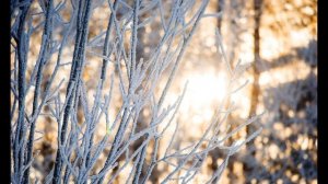 А  Фет  Мама! глянь-ка из окошка #стихиозиме #поэты19века