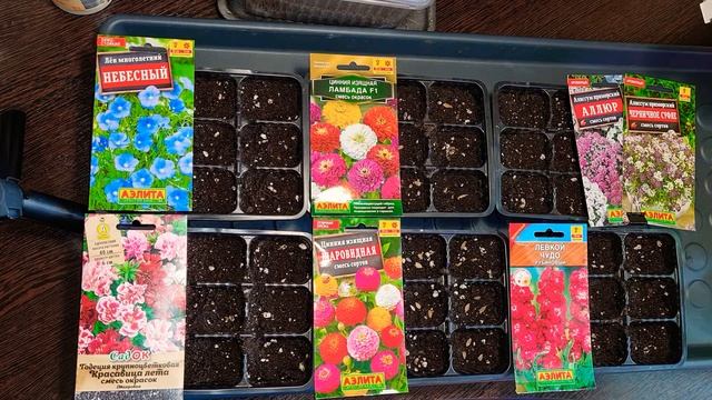 Цинии, годеция, лен, левкой и алиссум?????посев на рассаду 15.04.2021 смотреть онлайн