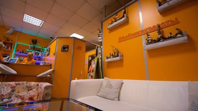 Контрольная закупка в студии коррекции фигуры "Фабрика красоты и здоровья" смотреть онлайн