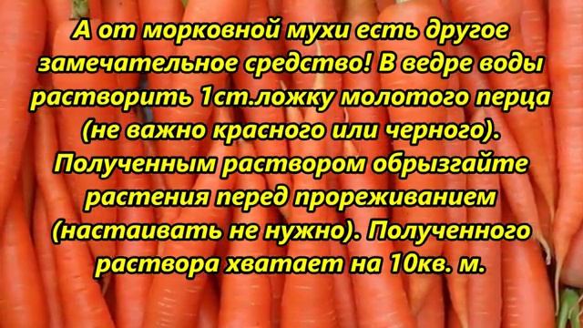 Морковные полезности смотреть онлайн