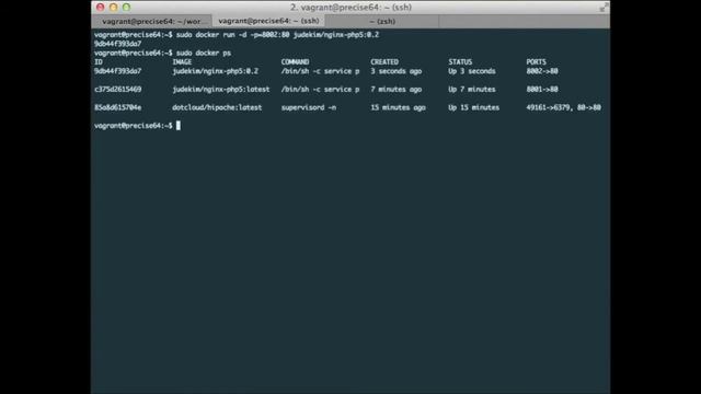 [docker] demo hipache + nginx with php5 смотреть онлайн