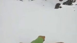 Собака на склоне горы