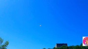 Запуск воздушного змея ! Flying a kite !