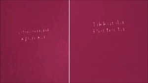 Краска для стен Tikkurila Perfecta