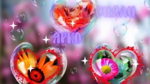 С Днём рождения ЛЮБИМАЯ ЖЕНА поздравляю. Красивое трогательное поздравление для прекрасной супруги