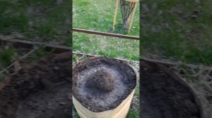 19 апреля
