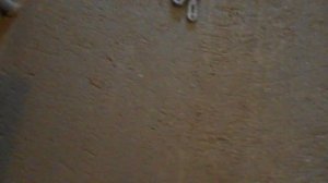 Шпаклевание пола СМ-11