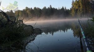 Дед научил искать карася в августе сентябре  Теперь меньше 10 кг домой не приношу. Где искать карас