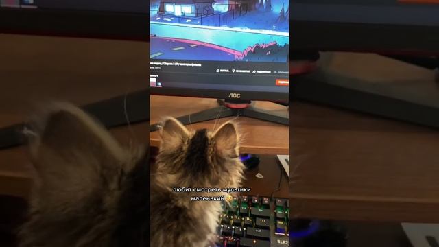 Котик ждёт мультфильм смотреть онлайн