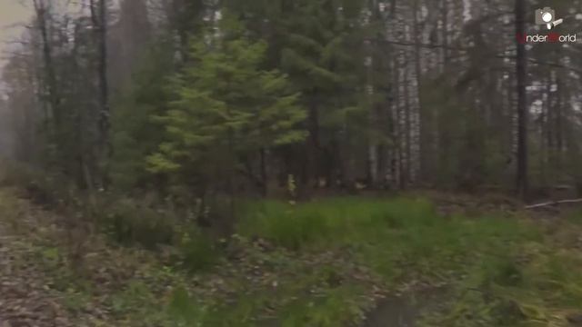 Камчатка-забытые места России! Мертвые города!