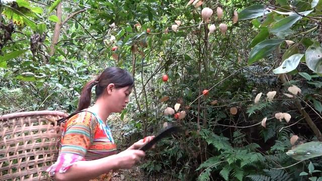 Ethnic Girl Survival Alone in The Green Forest - Meet Forest Pepple in The Amazon, Survival instinc смотреть онлайн