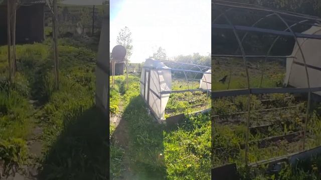 #недвижимостьвитебск Продажа дома в Лучёсе