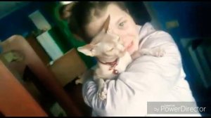 Как выпросить ? у родителей кошку или собаку